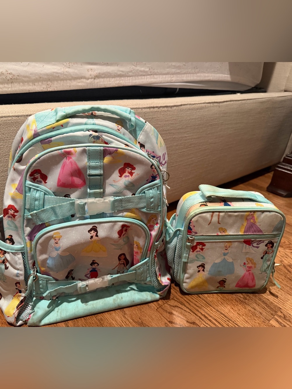 Pottery Barn Kids Disney Princesses Backpack & Lunch bag
